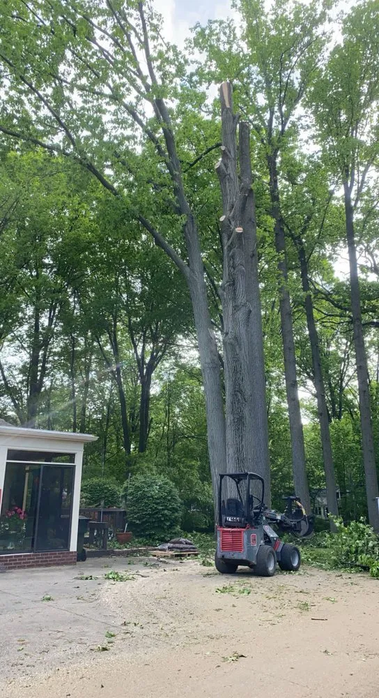 Professional lawn care service with custom design in Cortland, OH by Lybarger Services