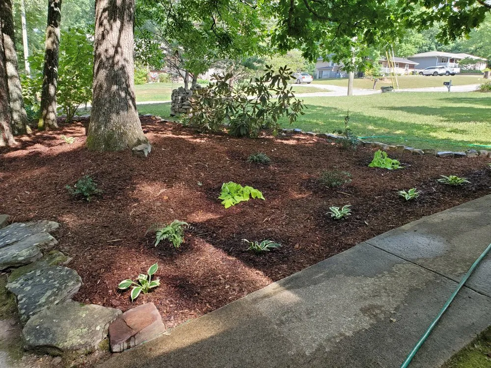 Top-rated lawn care service in Signal Mountain, TN by Lyda Landscapes