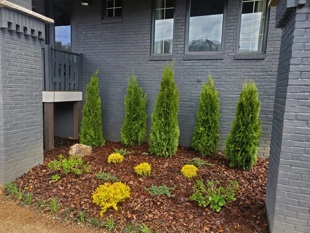 Top-rated landscaping services in Signal Mountain, TN - Lyda Landscapes