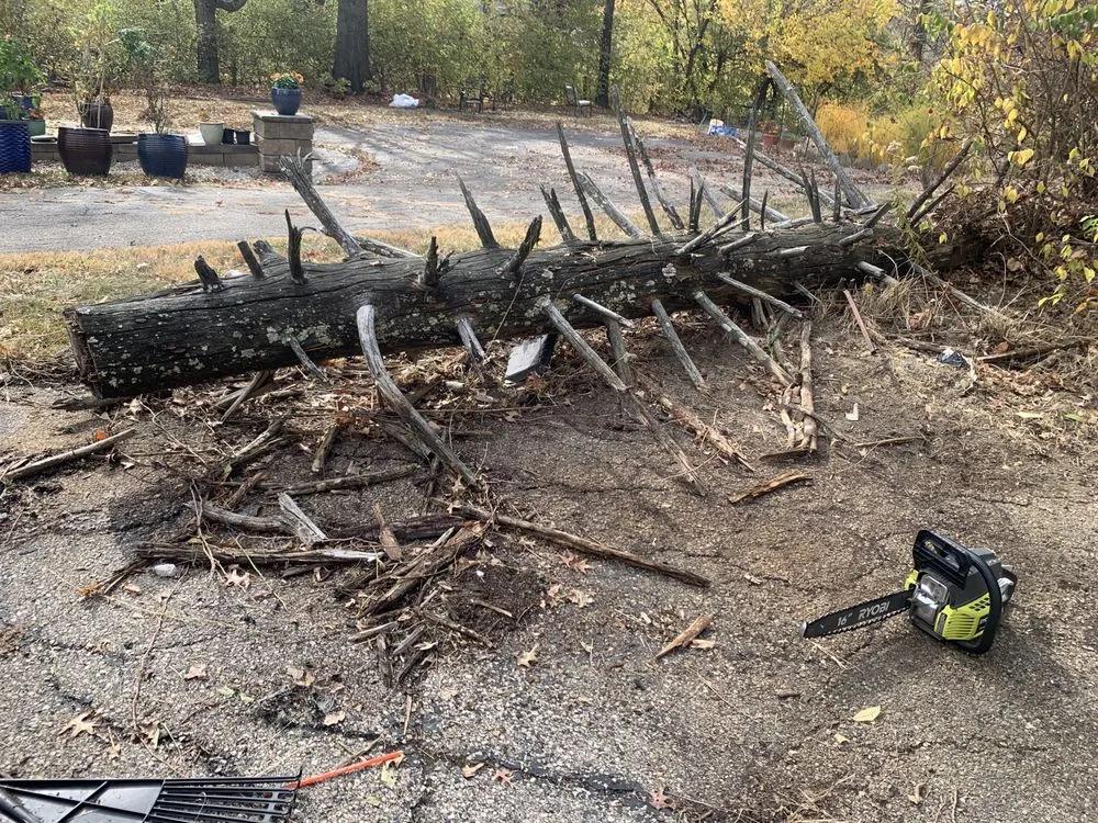 Reliable landscape installation for outdoor upgrades across Cincinnati, OH - Lydias Lawn Care