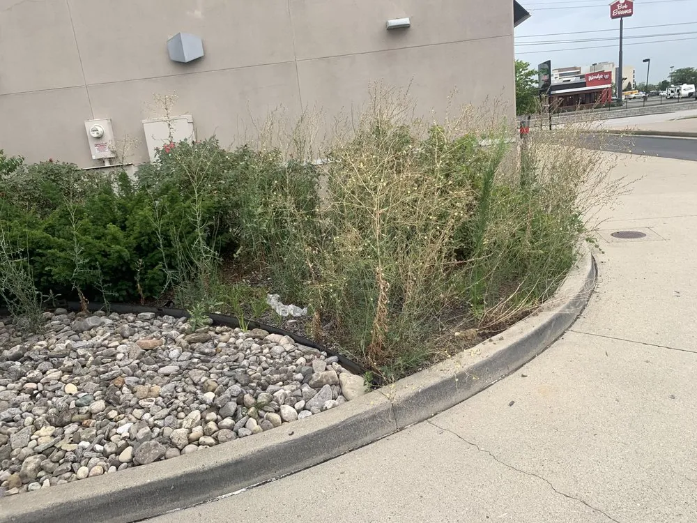 Trusted residential landscaping in Cincinnati, OH - Lydias Lawn Care