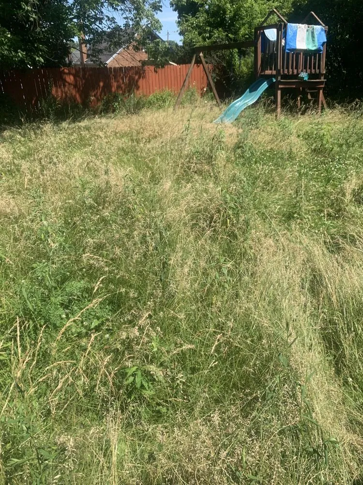 Top-rated landscape design in Cincinnati, OH by Lydias Lawn Care