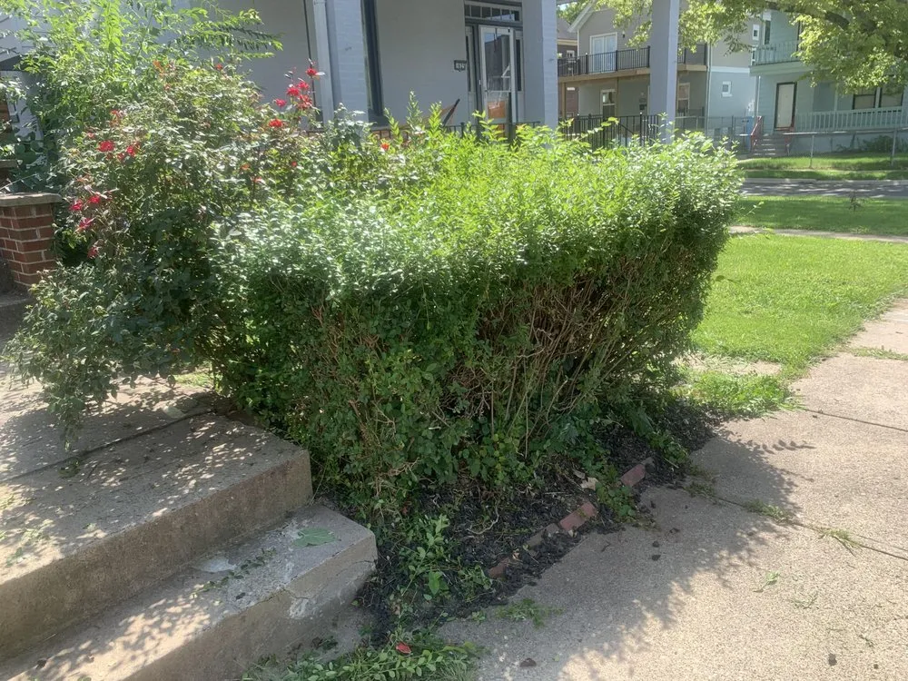 Top-rated landscape installation experts serving Cincinnati, OH - Lydias Lawn Care