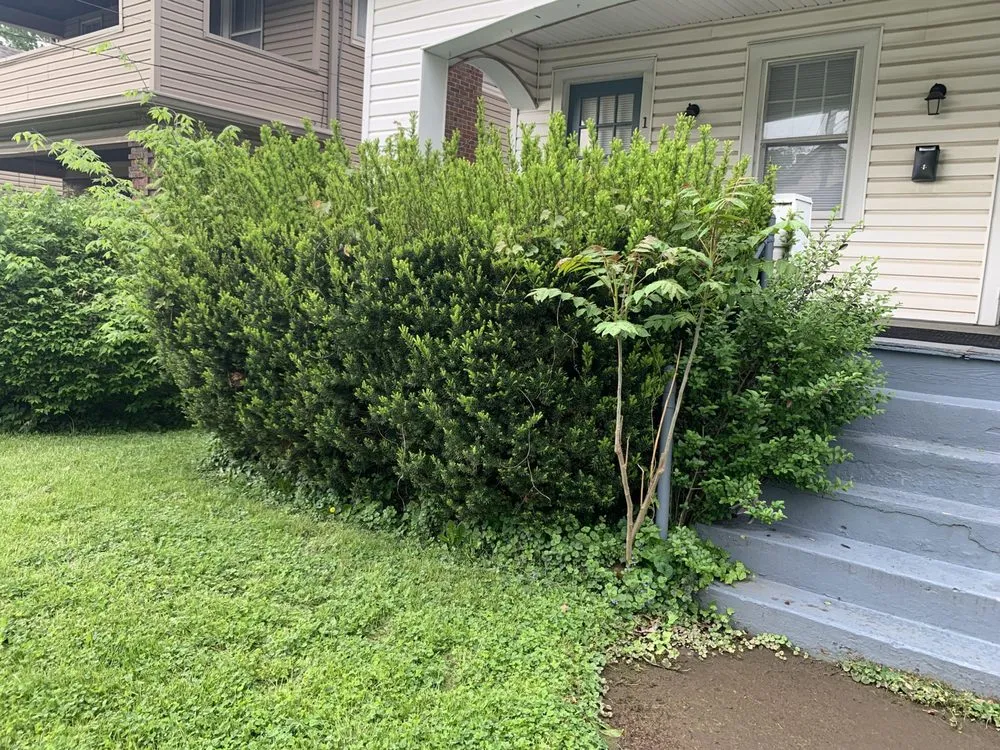 Expert garden landscaping experts serving Cincinnati, OH - Lydias Lawn Care