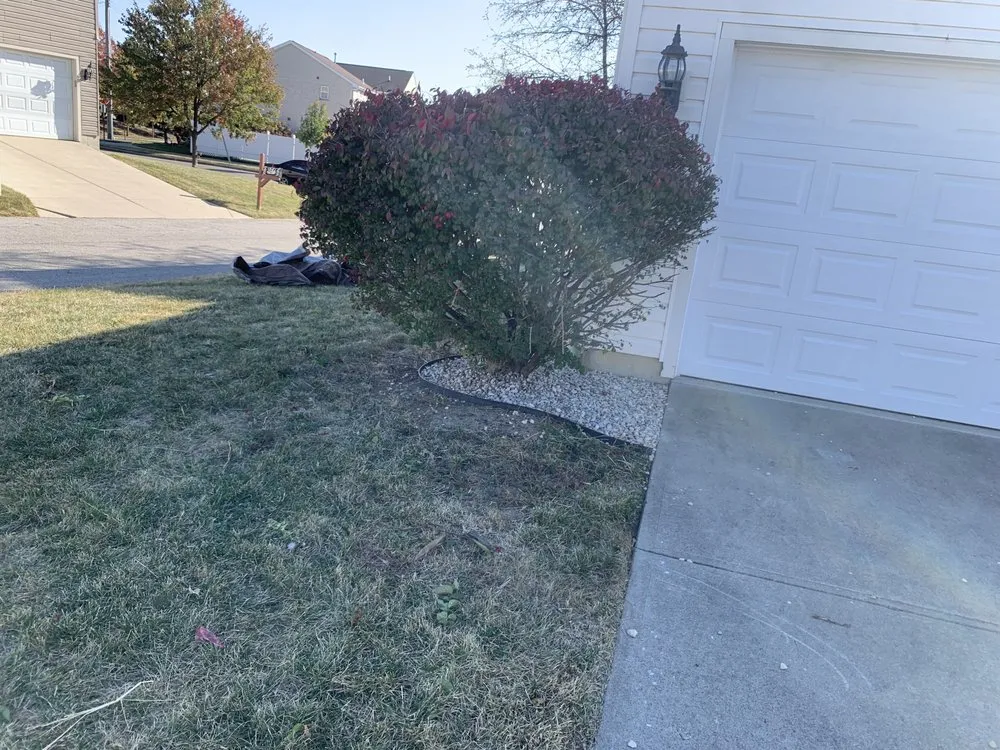 Expert lawn care service in Cincinnati, OH by Lydias Lawn Care