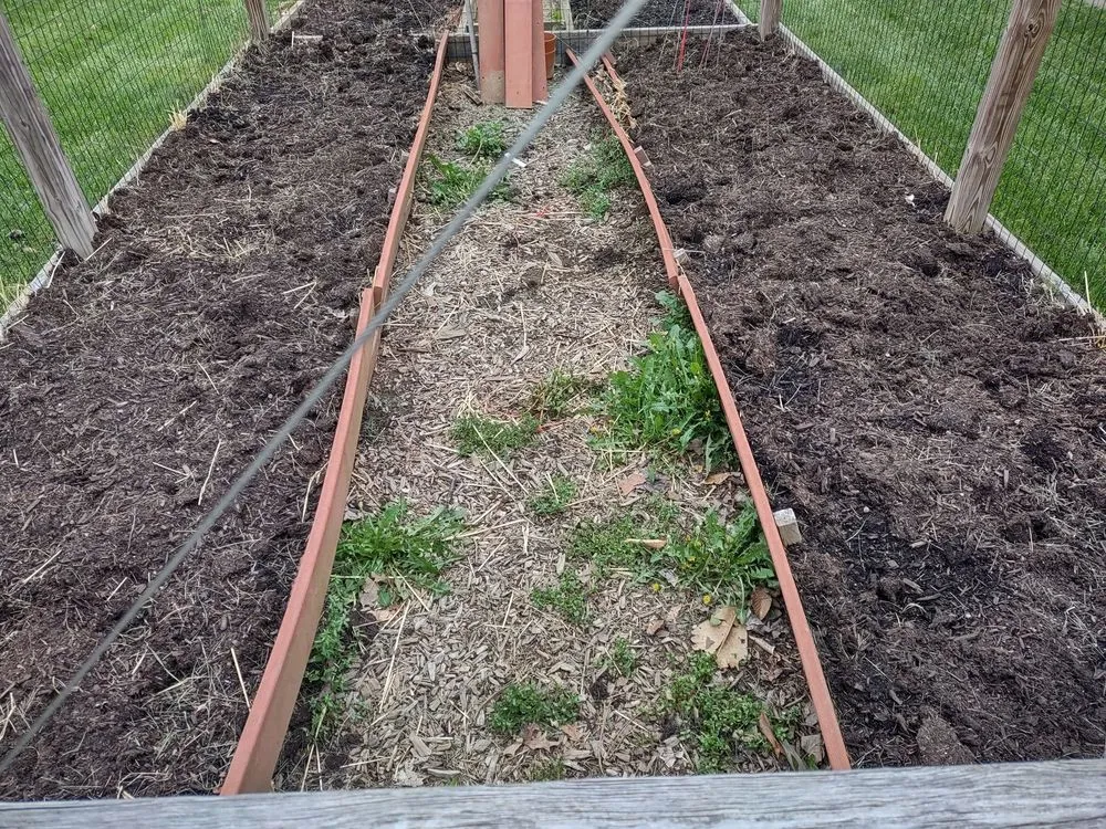 Custom lawn care service for beautiful yards in Cincinnati, OH by Lydias Lawn Care