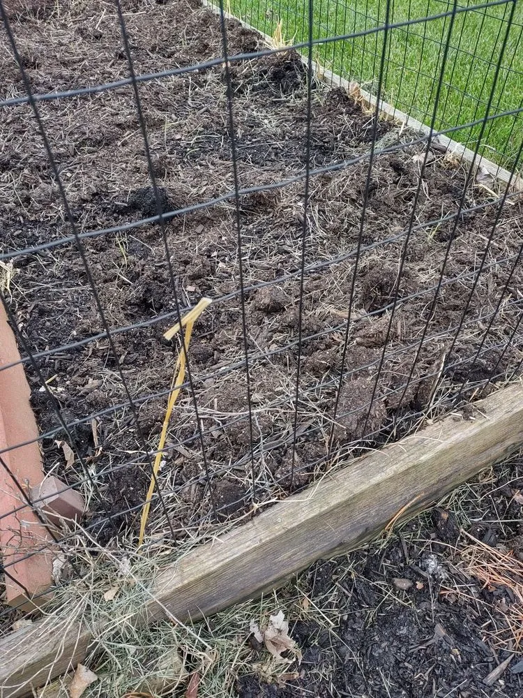 Expert yard cleanup service experts serving Cincinnati, OH - Lydias Lawn Care