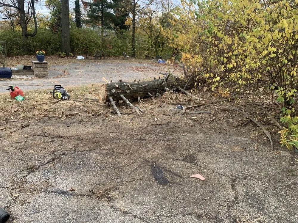 Professional lawn care service with custom design in Cincinnati, OH by Lydias Lawn Care