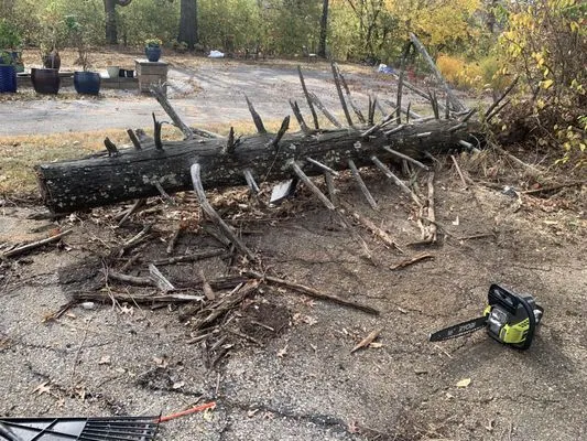 Lydias Lawn Care Logo