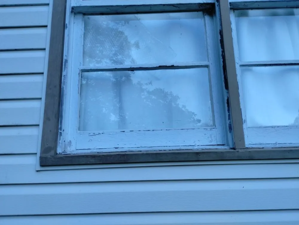 Affordable yard maintenance in Cullman, AL by Lyells Handyman Service