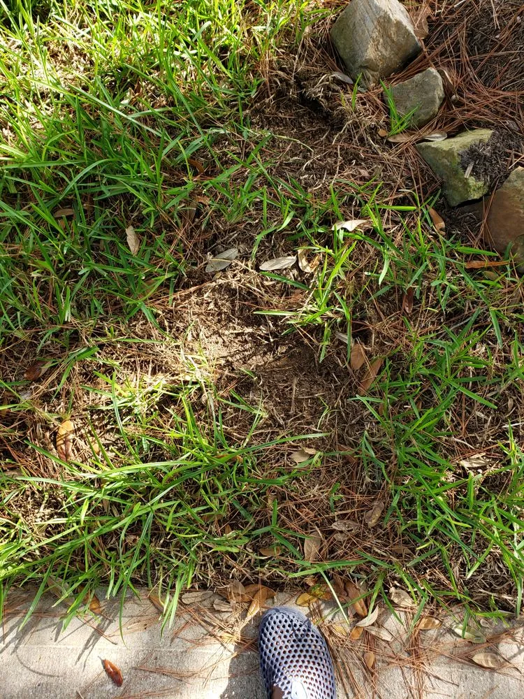 Trusted landscaping services near you in Richmond, TX by LYF Landscaping