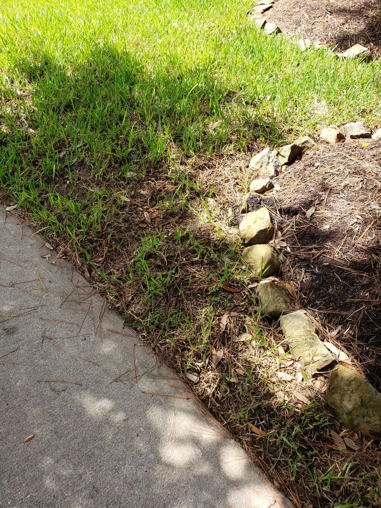 Affordable yard cleanup service with custom design in Richmond, TX by LYF Landscaping