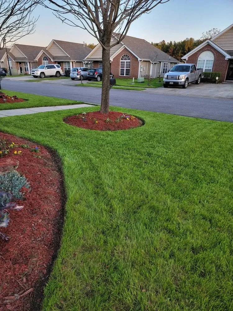 Trusted yard cleanup service with custom design across Calera, AL - Lykes Lawn Care