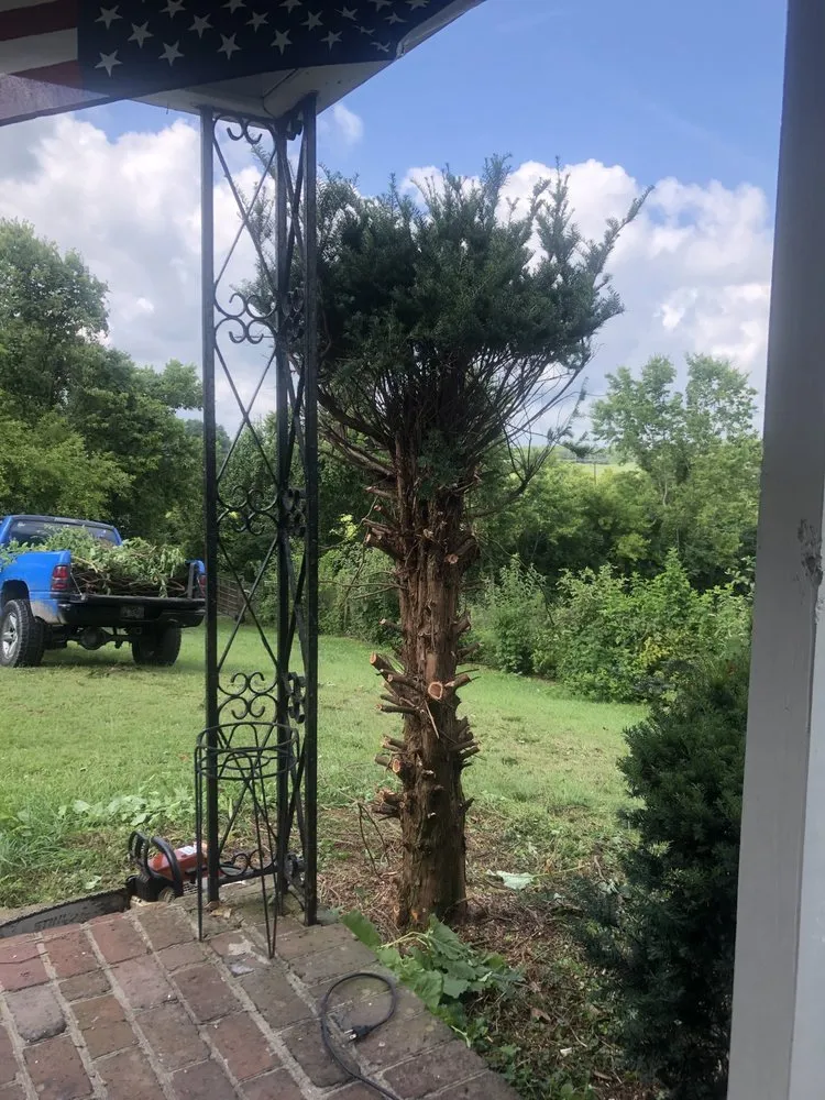 Top-rated lawn mowing service near you across Mount Sterling, KY - Lykins lawn care