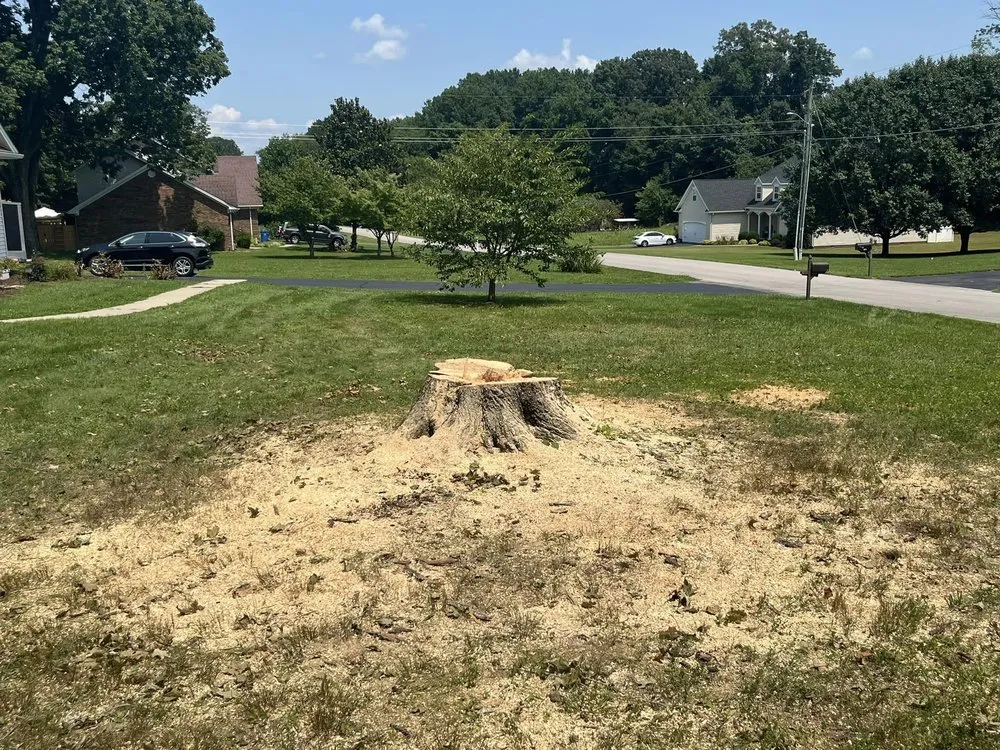 Local residential landscaping for beautiful yards in Glasgow, KY by Lyles Stump Removal and Services