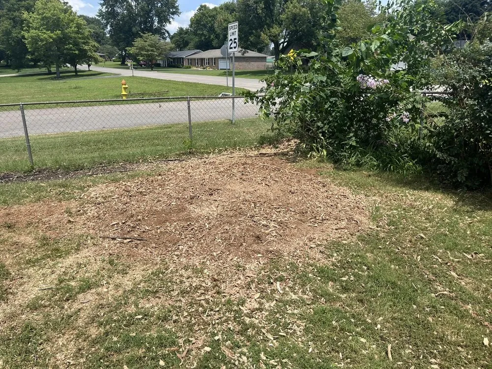 Custom landscape design experts serving Glasgow, KY - Lyles Stump Removal and Services