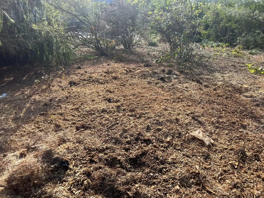 Affordable landscaping services in Glasgow, KY by Lyles Stump Removal and Services