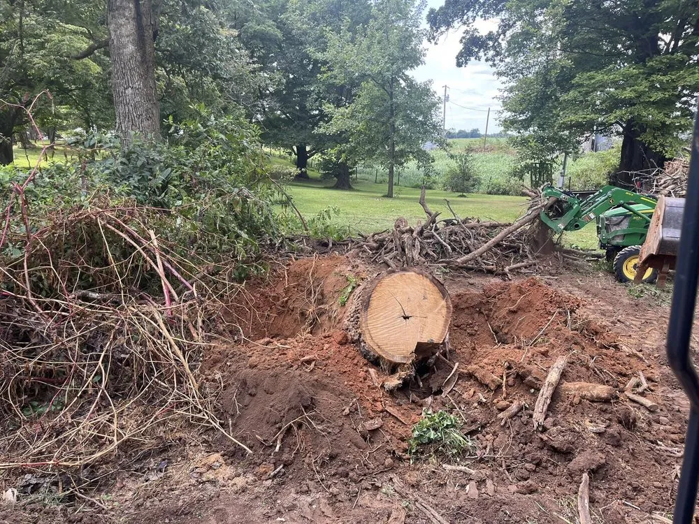 Expert landscape design in Glasgow, KY - Lyles Stump Removal and Services