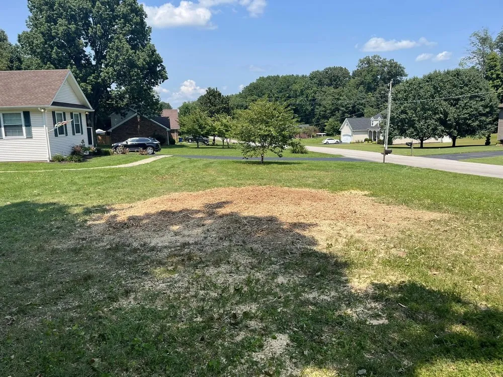 Custom yard cleanup service in Glasgow, KY - Lyles Stump Removal and Services