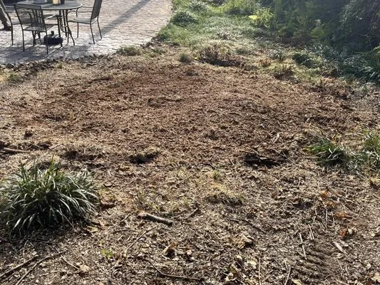 Lyles Stump Removal and Services Logo