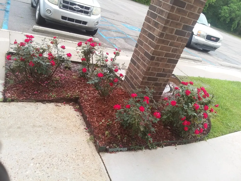 Top-rated landscaping services in Gulfport, MS by Lyman Property Preservation