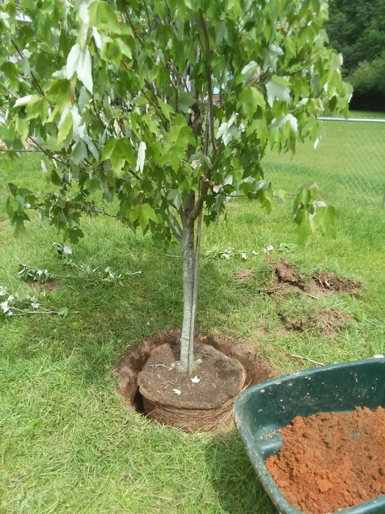 Top-rated landscape design experts serving Gulfport, MS - Lyman Property Preservation