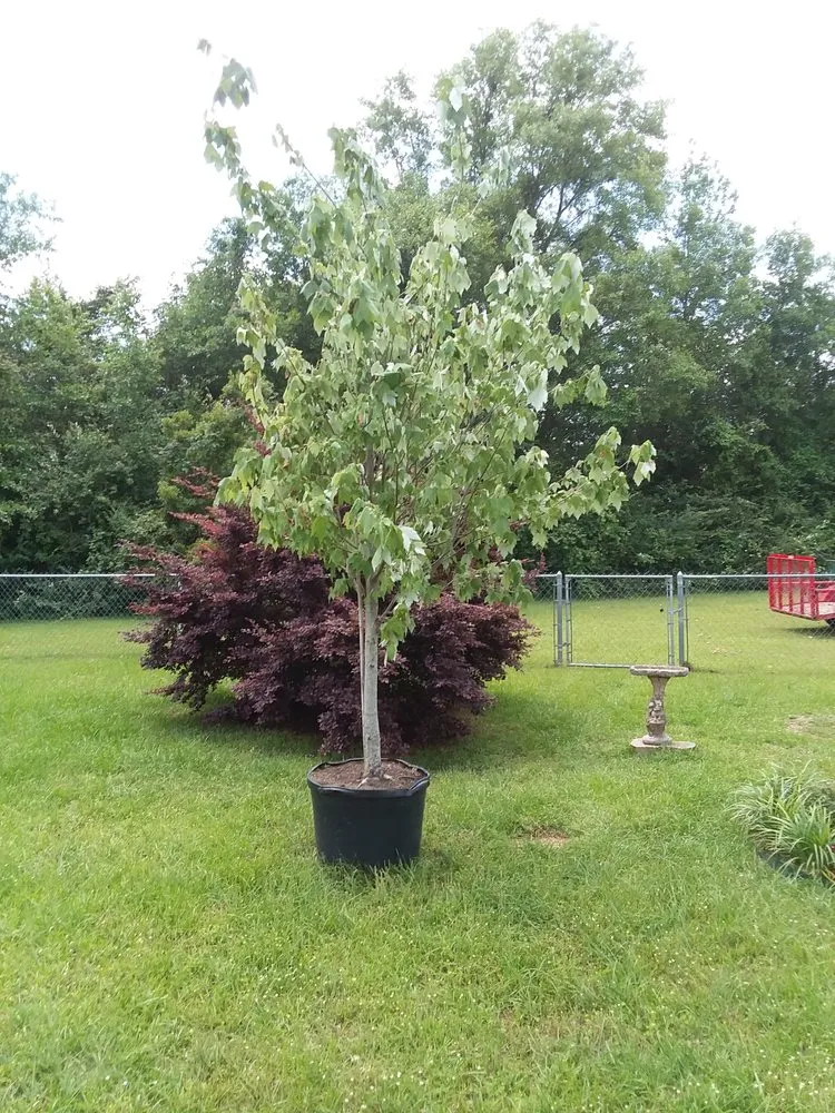 Affordable garden landscaping near you across Gulfport, MS - Lyman Property Preservation