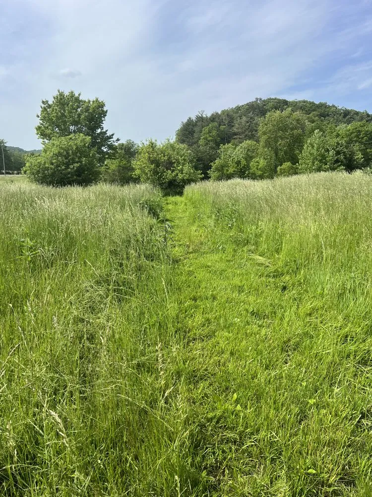 Reliable lawn mowing service near you across Berea, KY - Lyman’s Mowing Service