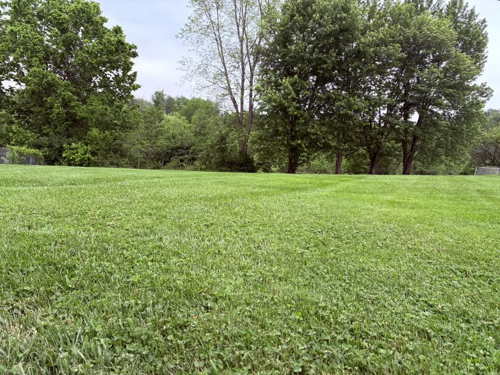 Professional residential landscaping for year-round maintenance in Berea, KY by Lyman’s Mowing Service