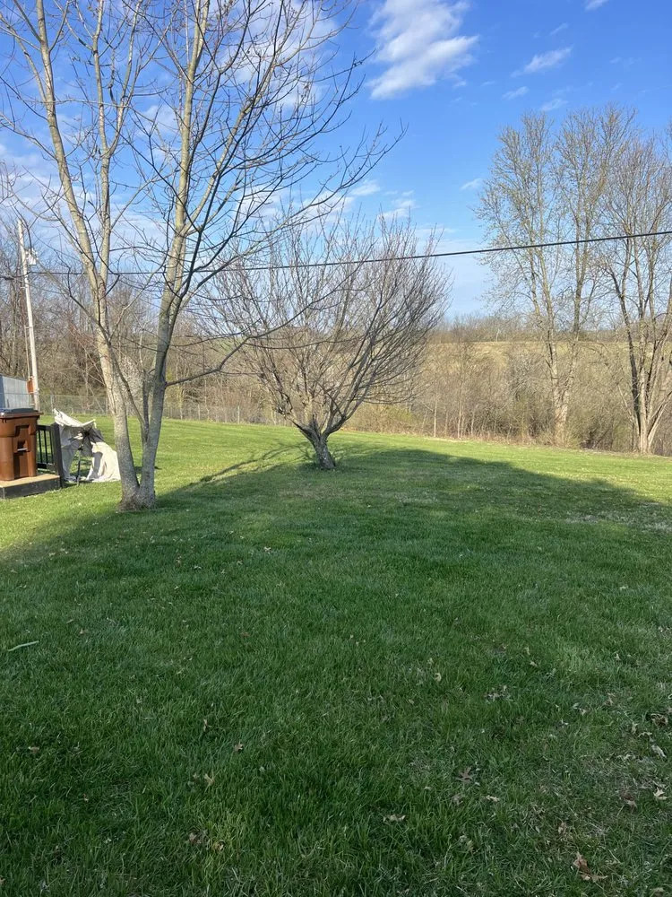 Custom lawn care service experts serving Berea, KY - Lyman’s Mowing Service