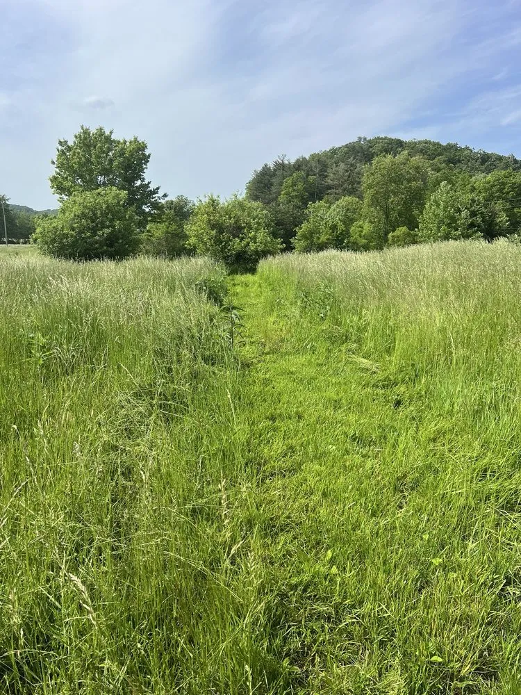 Reliable lawn mowing service in Berea, KY by Lyman’s Mowing Service