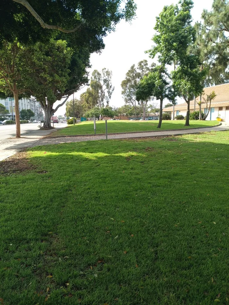 Custom landscape design experts serving Los Angeles, CA - Lymon's Tree Service