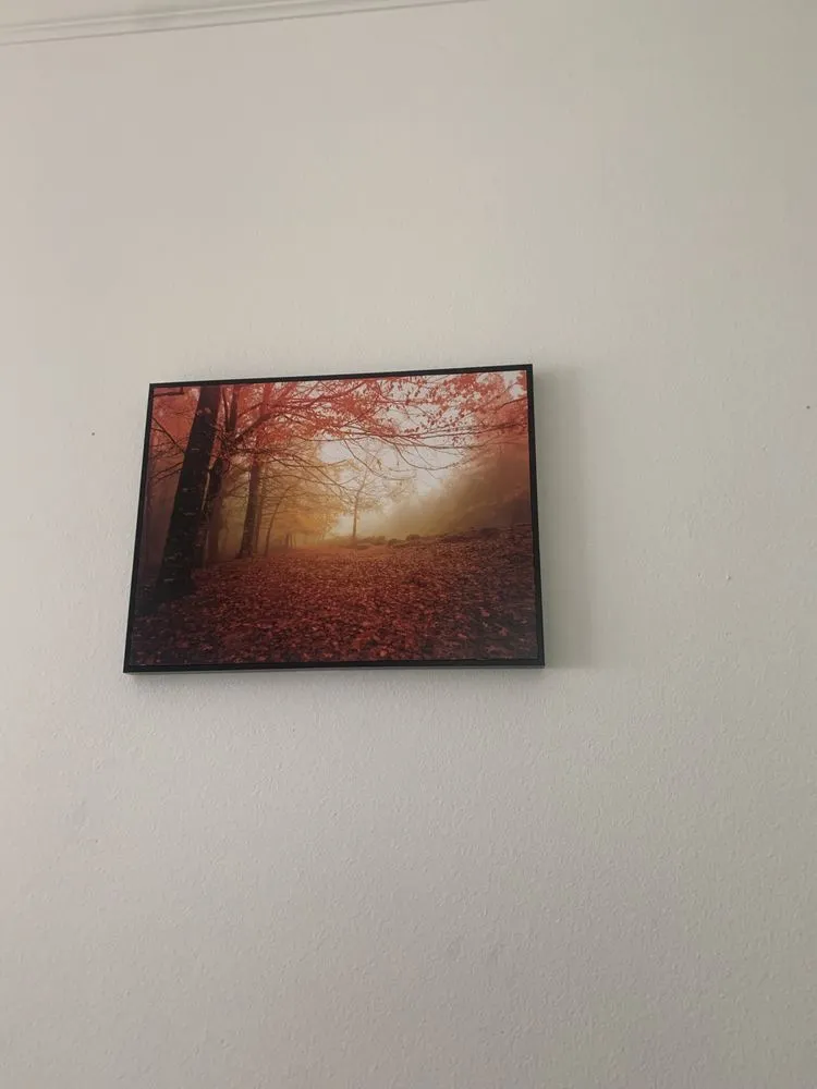 Local lawn care service experts serving Seabrook, TX - Lymuel Landscape and Handyman Services