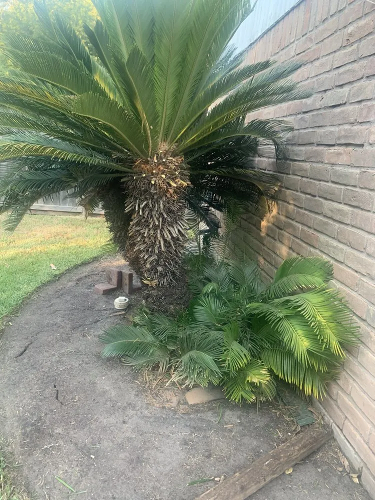 Trusted residential landscaping for residential properties in Seabrook, TX by Lymuel Landscape and Handyman Services