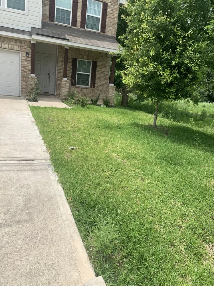 Affordable yard maintenance for year-round maintenance in Seabrook, TX by Lymuel Landscape and Handyman Services