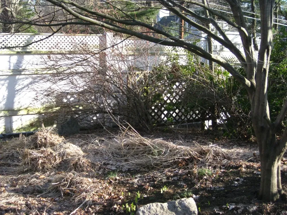 Top-rated yard maintenance experts serving Sudbury, MA - Lynch Landscape