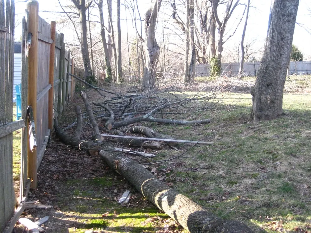 Top-rated residential landscaping for beautiful yards in Sudbury, MA by Lynch Landscape