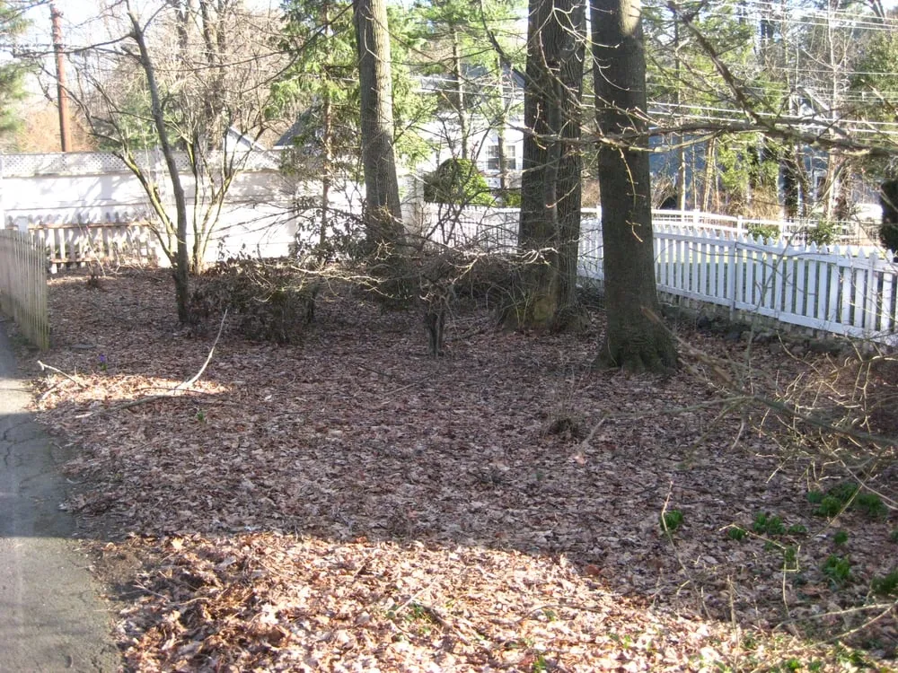 Top-rated residential landscaping experts serving Sudbury, MA - Lynch Landscape