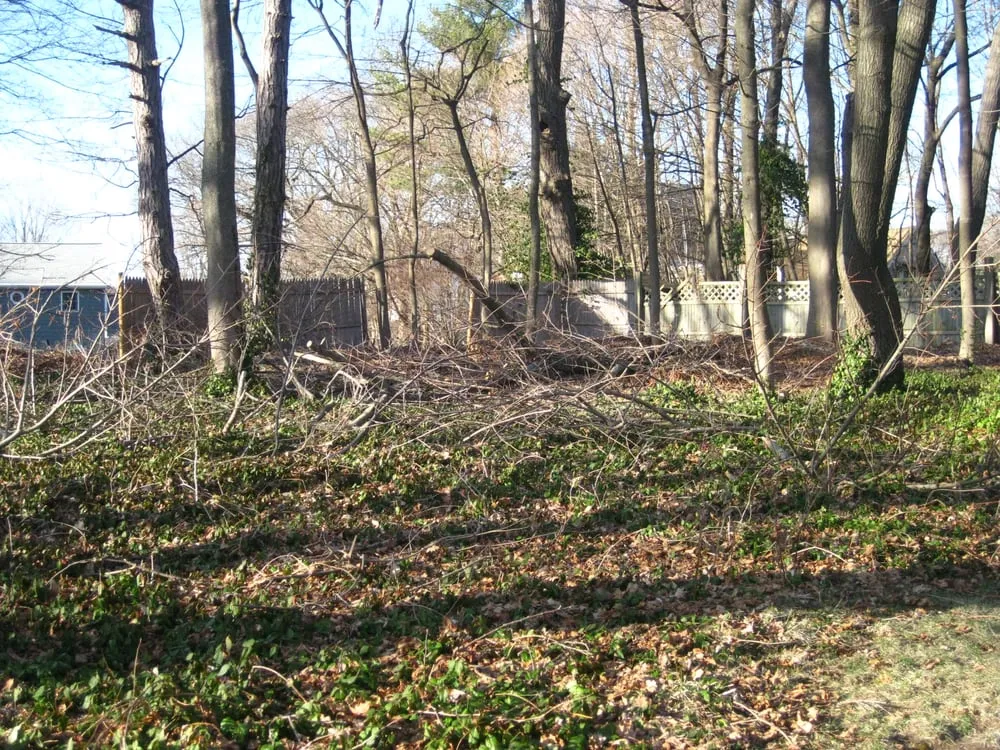 Expert landscaping services in Sudbury, MA by Lynch Landscape