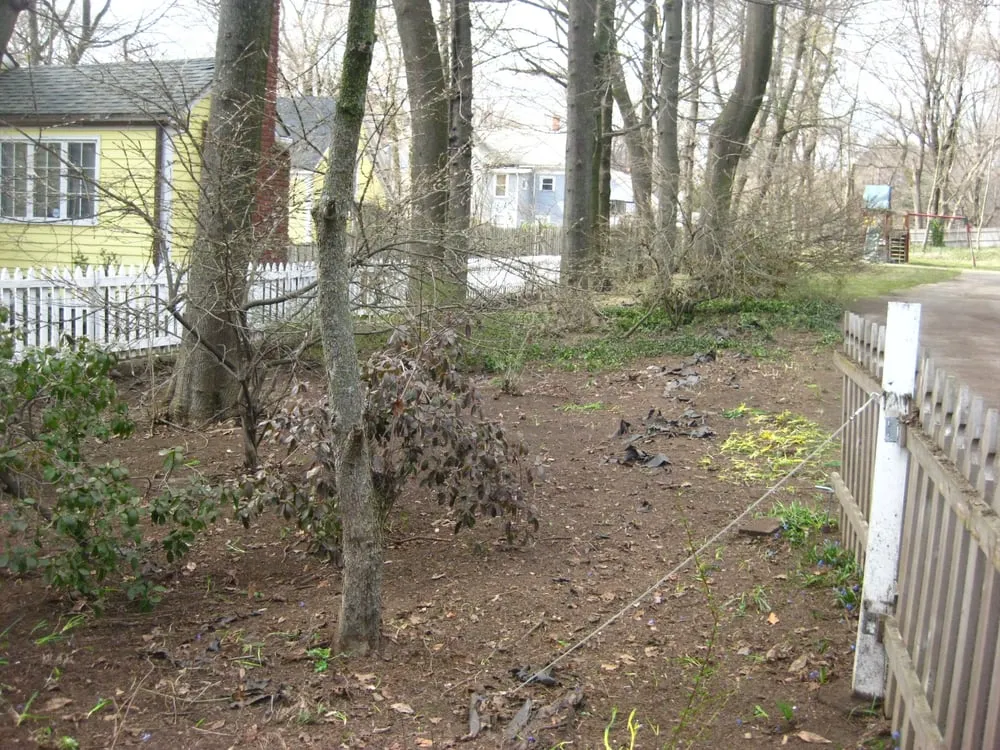 Expert lawn care service experts serving Sudbury, MA - Lynch Landscape