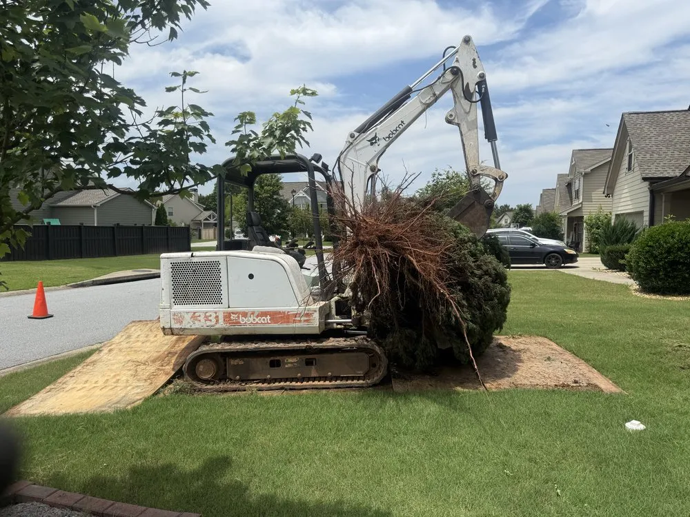 Expert yard cleanup service in Jefferson, GA - Lynch Lawncare & Landscaping