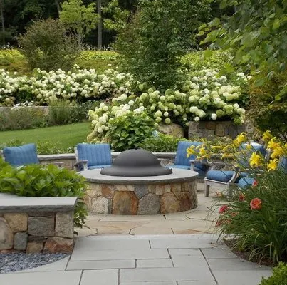 Lynch Plant Healthcare Logo