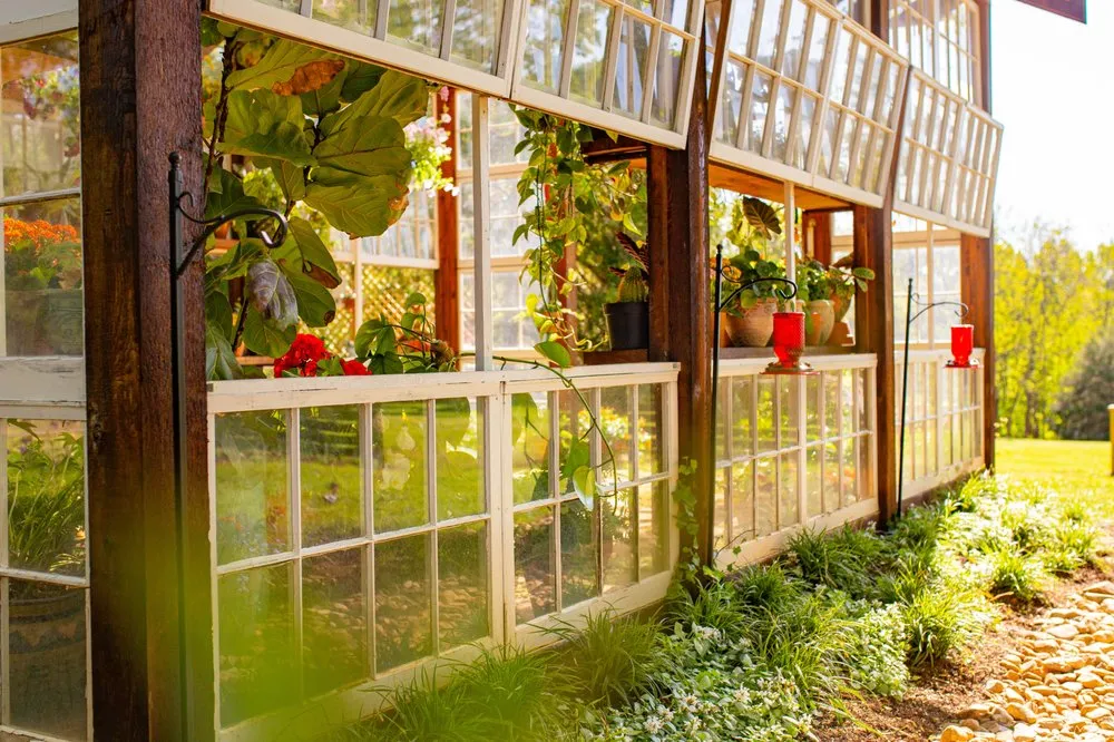 Affordable yard cleanup service in Lynchburg, VA by Lynchburg Landscapes