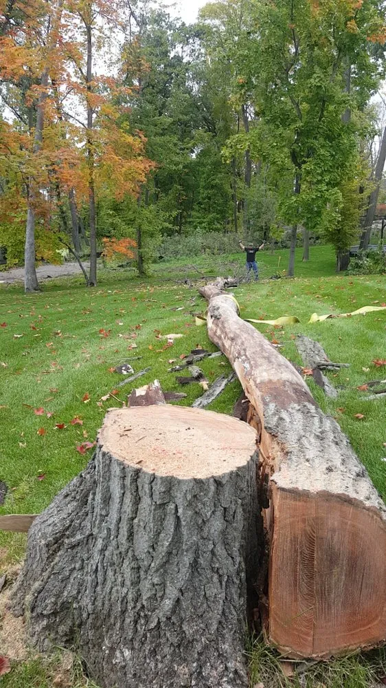 Trusted outdoor landscaping experts serving Hamel, MN - Lynch's Landscaping