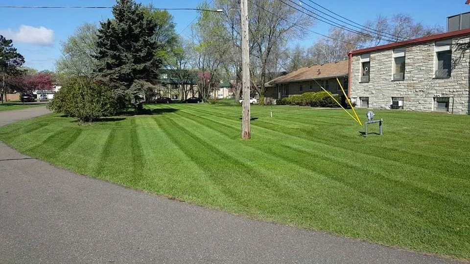 Local yard cleanup service with custom design in Hamel, MN by Lynch's Landscaping