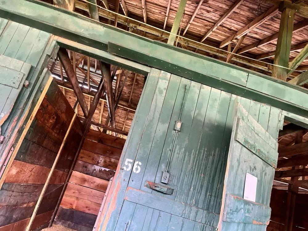 Affordable lawn care service experts serving Wilmington, DE - Lynch’s Pressure Washing and Landscaping