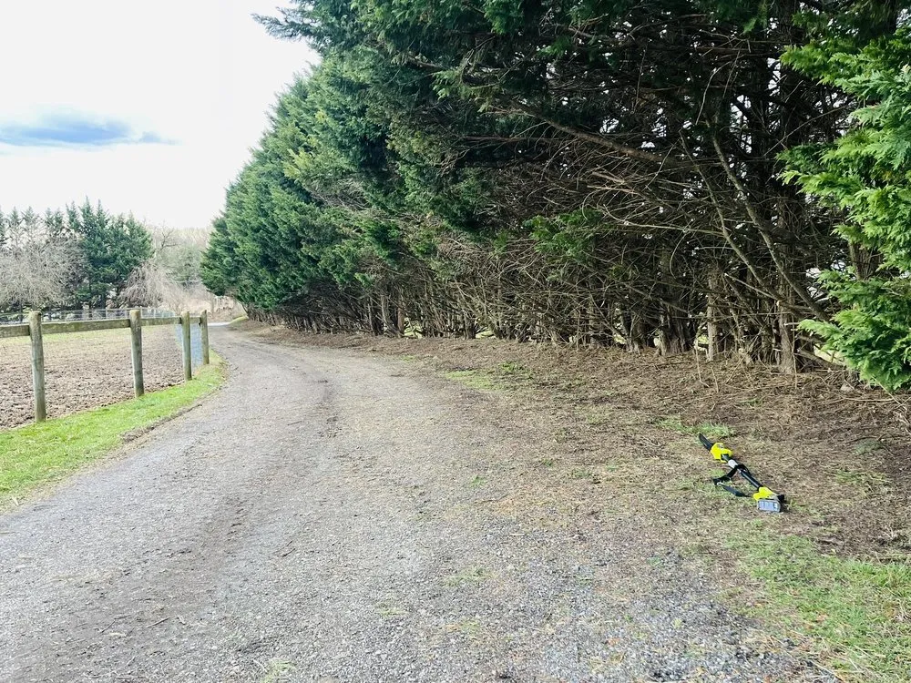 Expert residential landscaping in Wilmington, DE by Lynch’s Pressure Washing and Landscaping