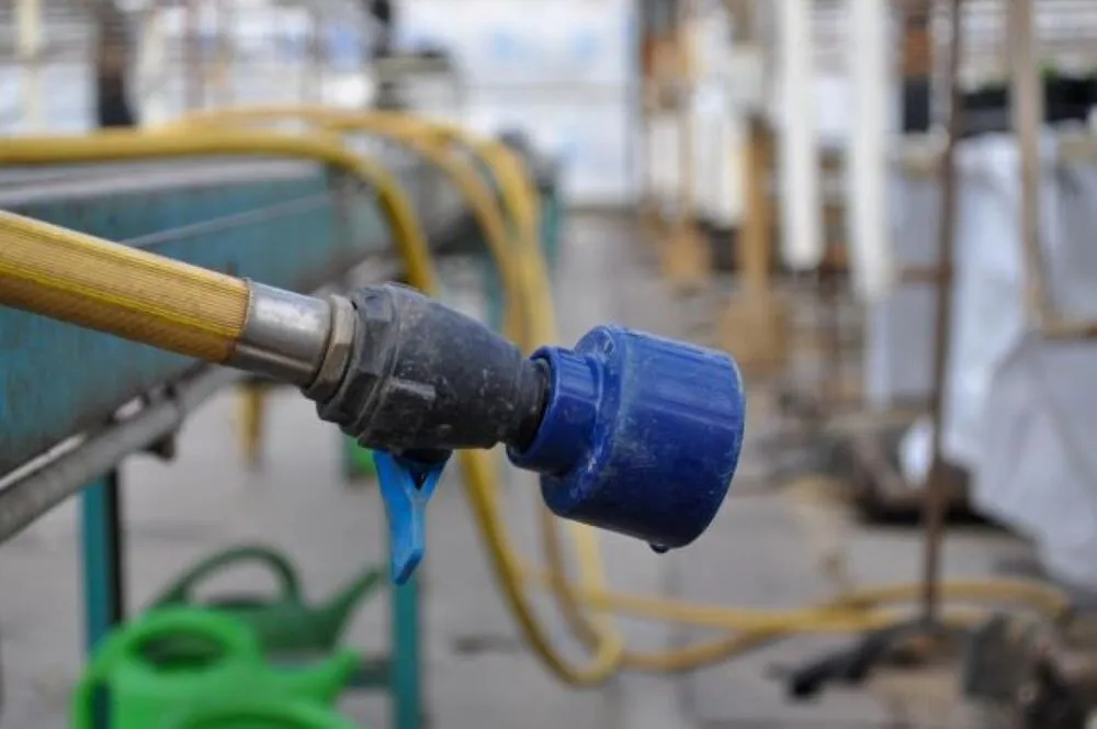 Local yard cleanup service for homes in Maple Grove, MN by Lynde Greenhouse & Nursery