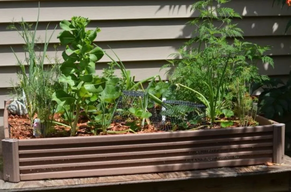 Affordable yard cleanup service in Maple Grove, MN - Lynde Greenhouse & Nursery