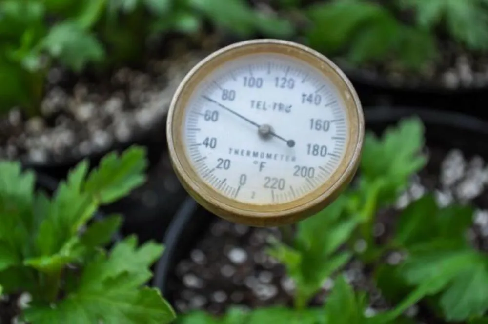 Reliable lawn care service experts serving Maple Grove, MN - Lynde Greenhouse & Nursery